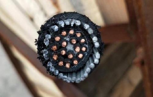 kvvrp22和kvvrp32的区别(图1) kvvrp22和kvvrp32的区别(图1)