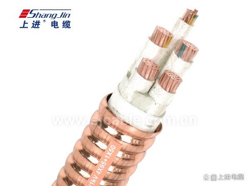 RTTZ电缆用什么材料结构?(图1) RTTZ电缆用什么材料结构?(图1)