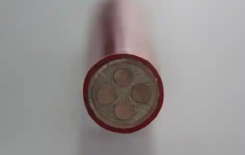 bttvz电缆属于刚性的还是柔性的?(图1) bttvz电缆属于刚性的还是柔性的?(图1)