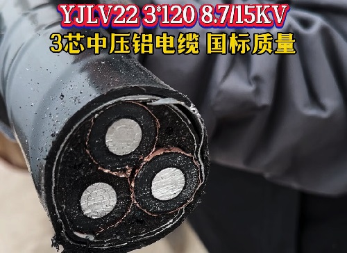 yjlv22-3*120高压电缆最大承载负荷?(图1) yjlv22-3*120高压电缆最大承载负荷?(图1)