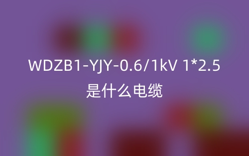 WDZB1-YJY-0.6/1kV 1*2.5是什么电缆?(图1) WDZB1-YJY-0.6/1kV 1*2.5是什么电缆?(图1)