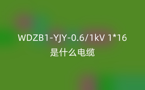 WDZB1-YJY-0.6/1kV 1*16是什么电缆?(图1) WDZB1-YJY-0.6/1kV 1*16是什么电缆?(图1)