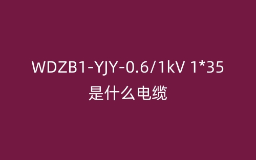 WDZB1-YJY-0.6/1kV 1*35是什么电缆?(图1) WDZB1-YJY-0.6/1kV 1*35是什么电缆?(图1)