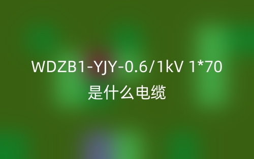 WDZB1-YJY-0.6/1kV 1*70是什么电缆?(图1) WDZB1-YJY-0.6/1kV 1*70是什么电缆?(图1)