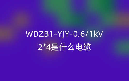 WDZB1-YJY-0.6/1kV 2*4是什么电缆?(图1) WDZB1-YJY-0.6/1kV 2*4是什么电缆?(图1)