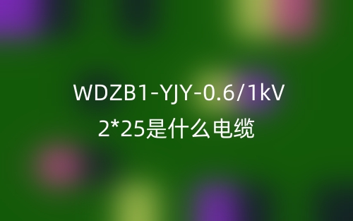 WDZB1-YJY-0.6/1kV 2*25是什么电缆?(图1) WDZB1-YJY-0.6/1kV 2*25是什么电缆?(图1)