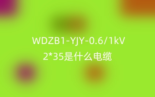 WDZB1-YJY-0.6/1kV 2*35(图1) WDZB1-YJY-0.6/1kV 2*35(图1)