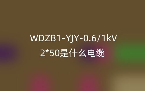 WDZB1-YJY-0.6/1kV 2*50(图1) WDZB1-YJY-0.6/1kV 2*50(图1)