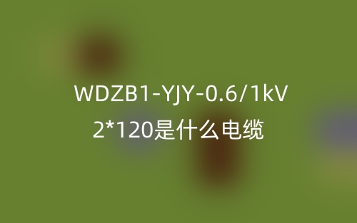 WDZB1-YJY-0.6/1kV 2*120是什么电缆?(图1) WDZB1-YJY-0.6/1kV 2*120是什么电缆?(图1)