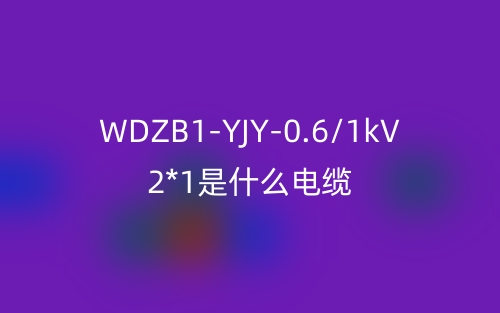 WDZB1-YJY-0.6/1kV 2*1.0是什么电缆?(图1) WDZB1-YJY-0.6/1kV 2*1.0是什么电缆?(图1)