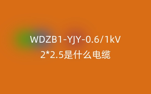 WDZB1-YJY-0.6/1kV 2*2.5是什么电缆?(图1) WDZB1-YJY-0.6/1kV 2*2.5是什么电缆?(图1)
