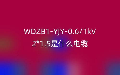 WDZB1-YJY-0.6/1kV 2*1.5(图1) WDZB1-YJY-0.6/1kV 2*1.5(图1)