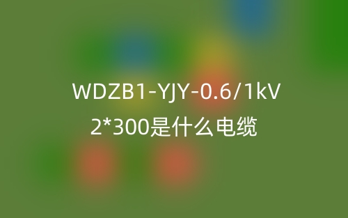 WDZB1-YJY-0.6/1kV 2*300是什么电缆?(图1) WDZB1-YJY-0.6/1kV 2*300是什么电缆?(图1)