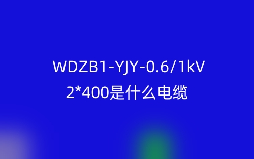 WDZB1-YJY-0.6/1kV 2*400是什么电缆?(图1) WDZB1-YJY-0.6/1kV 2*400是什么电缆?(图1)