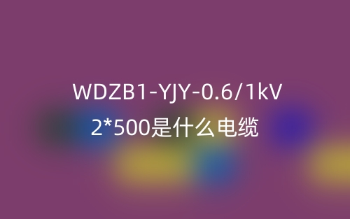 WDZB1-YJY-0.6/1kV 2*500是什么电缆?(图1) WDZB1-YJY-0.6/1kV 2*500是什么电缆?(图1)