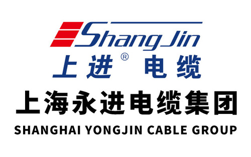 集团简介(图1) 集团简介(图1)