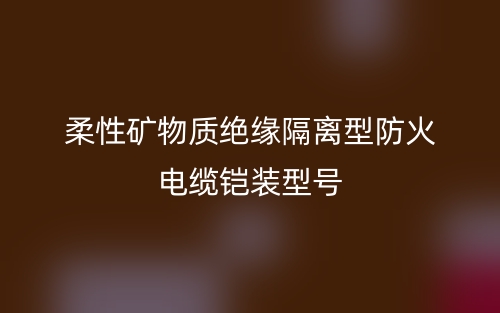 柔性矿物质绝缘隔离型防火电缆铠装型号(图1) 柔性矿物质绝缘隔离型防火电缆铠装型号(图1)