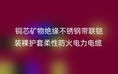 铜芯矿物绝缘不锈钢带联铠装裸护套柔性防火电力电缆 (图1) 铜芯矿物绝缘不锈钢带联铠装裸护套柔性防火电力电缆 (图1)