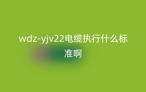 wdz-yjv22电缆执行什么标准啊?(图1) wdz-yjv22电缆执行什么标准啊?(图1)