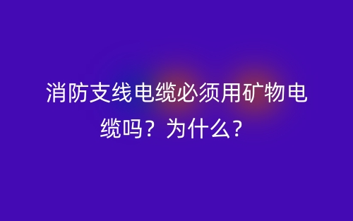 消防支线电缆必须用矿物电缆吗?为什么?(图1) 消防支线电缆必须用矿物电缆吗?为什么?(图1)