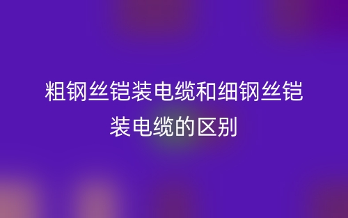 粗钢丝铠装电缆和细钢丝铠装电缆的区别是什么?(图1) 粗钢丝铠装电缆和细钢丝铠装电缆的区别是什么?(图1)