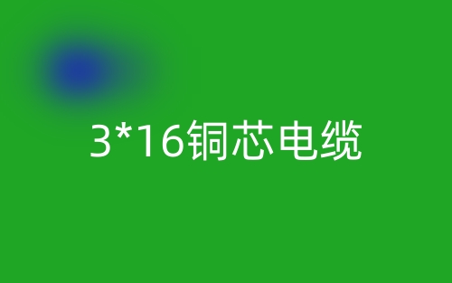 3*16铜芯电缆价格_3*16铜芯电缆载流量(图1) 3*16铜芯电缆价格_3*16铜芯电缆载流量(图1)