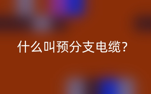 什么叫预分支电缆?(图1) 什么叫预分支电缆?(图1)