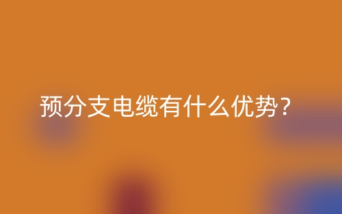 预分支电缆有什么优势?(图1) 预分支电缆有什么优势?(图1)
