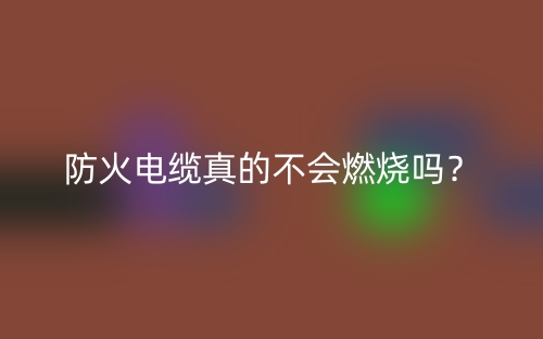防火电缆真的不会燃烧吗?(图1) 防火电缆真的不会燃烧吗?(图1)