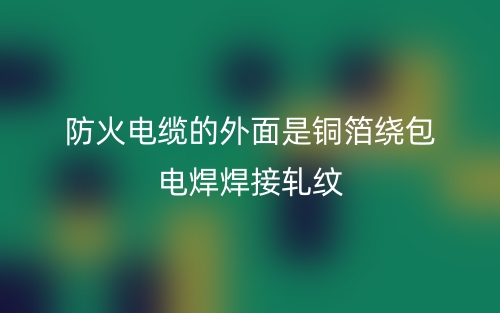 防火电缆的规格型号(图1) 防火电缆的规格型号(图1)
