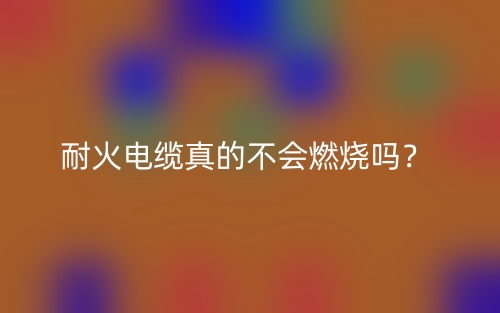 耐火电缆真的不会燃烧吗?(图1) 耐火电缆真的不会燃烧吗?(图1)