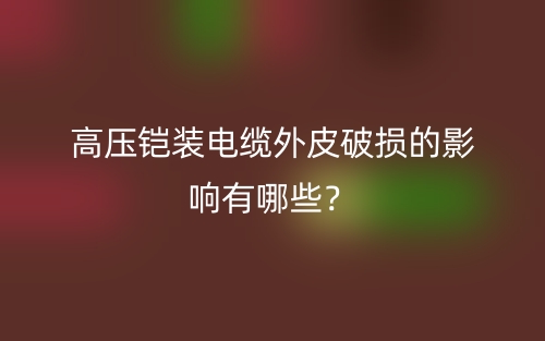 高压铠装电缆外皮破损的影响有哪些?(图1) 高压铠装电缆外皮破损的影响有哪些?(图1)