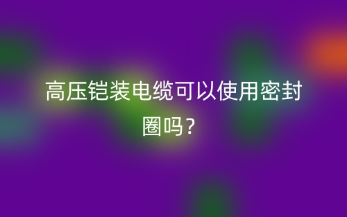 高压铠装电缆可以使用密封圈吗?(图1) 高压铠装电缆可以使用密封圈吗?(图1)