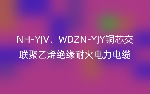 NH-YJV、WDZN-YJY铜芯交联聚乙烯绝缘耐火电力电缆(图1) NH-YJV、WDZN-YJY铜芯交联聚乙烯绝缘耐火电力电缆(图1)