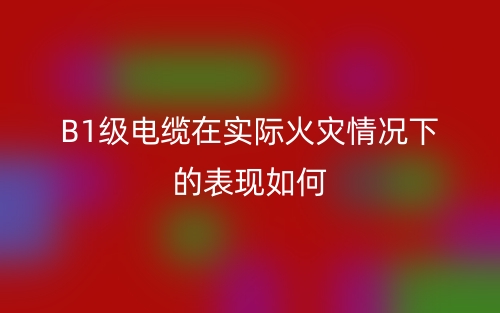 B1级电缆在实际火灾情况下的表现如何(图1) B1级电缆在实际火灾情况下的表现如何(图1)