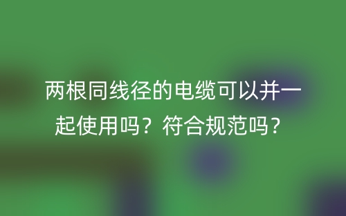 两根同线径的电缆可以并一起使用吗?符合规范吗?(图1) 两根同线径的电缆可以并一起使用吗?符合规范吗?(图1)