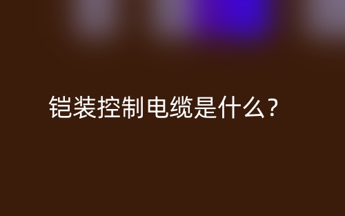 铠装控制电缆是什么?(图1) 铠装控制电缆是什么?(图1)
